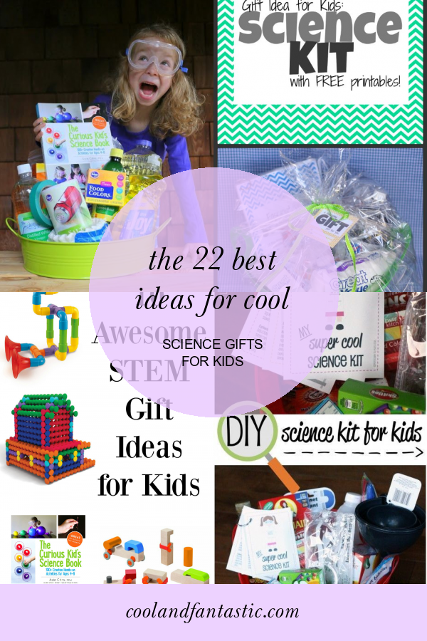 The 22 Best Ideas for Cool Science Gifts for Kids  Home, Family, Style